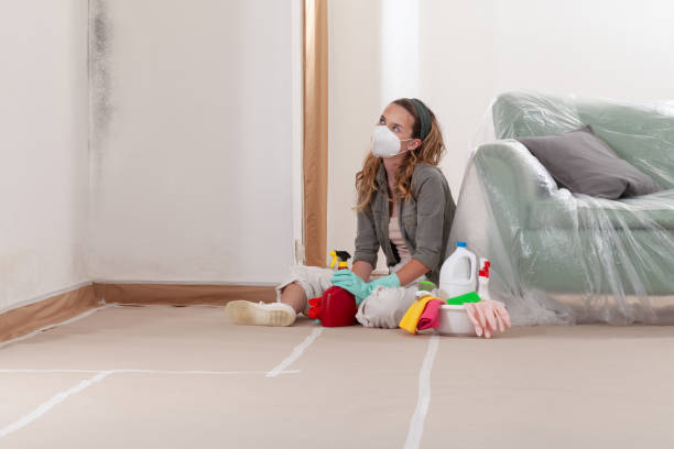 Reliable Mold Inspection And Testing contractor in West Orange, TX by Car Mold Remediation